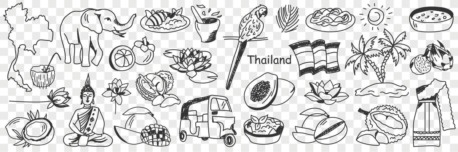 Thailand cultural symbols doodle set. Collection of hand drawn various thai signs elephant parrot bus tourist papaya palm tree sun beach sea map cocktail costume isolated on transparent background vector