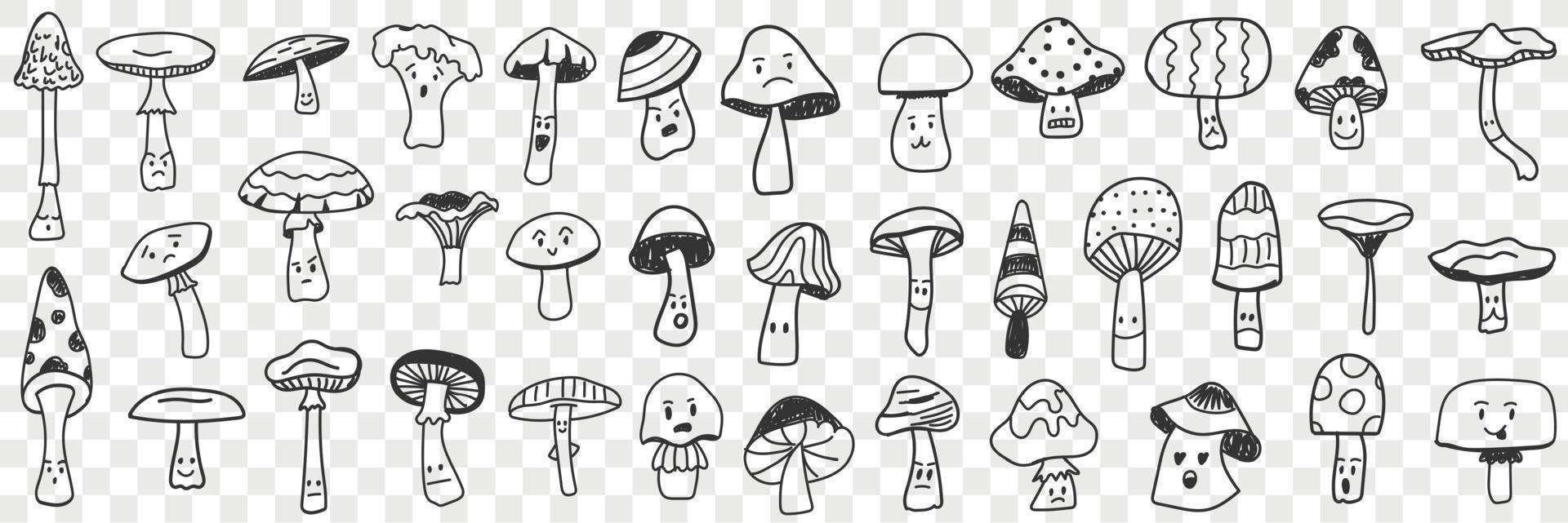 Edible and inedible mushroom doodle set. Collection of hand drawn edible and inedible mushrooms types growing in forest for picking isolated on transparent background vector