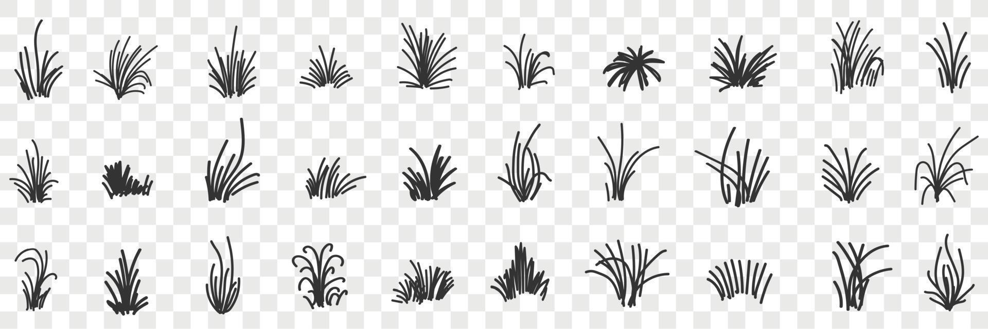 Grass natural pattern doodle set. Collection of hand drawn various growing bunches of grass natural pattern newspaper isolated on transparent background vector