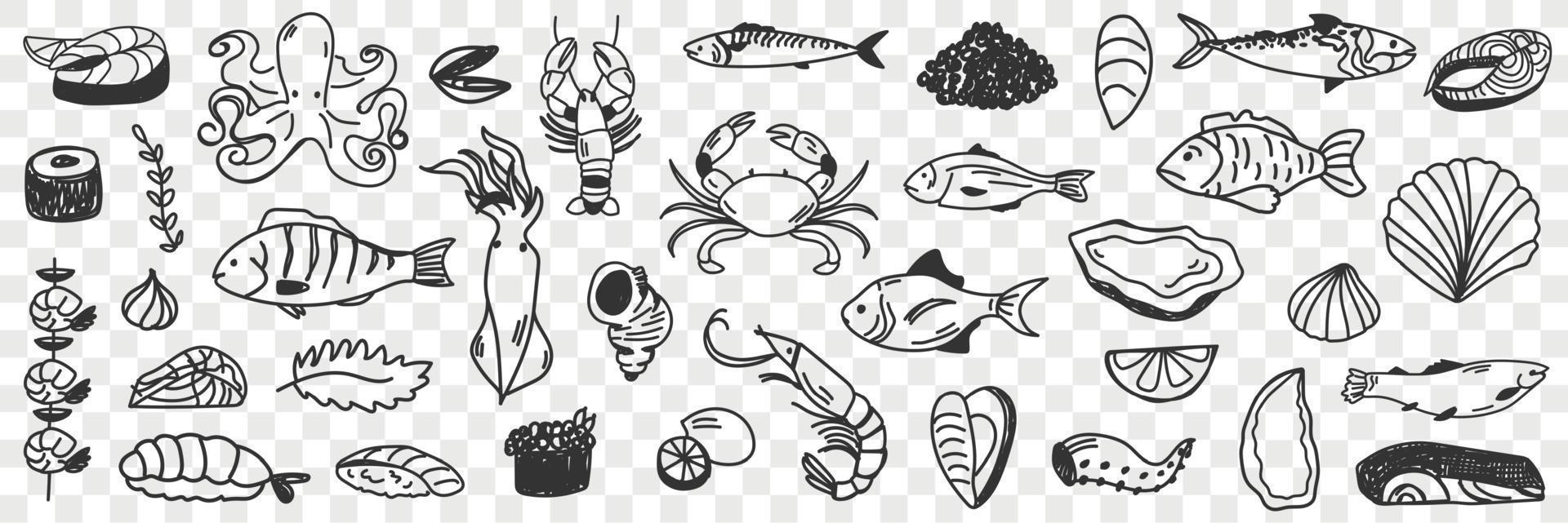 Seafood and fish doodle set. Collection of hand drawn crab shrimp prawn octopus shells caviar squid various fish for making dishes and sushi isolated on transparent background vector