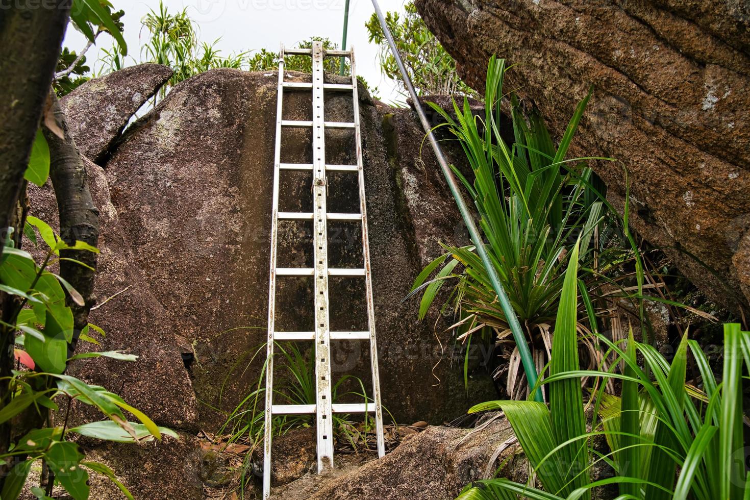 copolia trail, Steel ladder before the top of the trail Mahe Seychelles photo