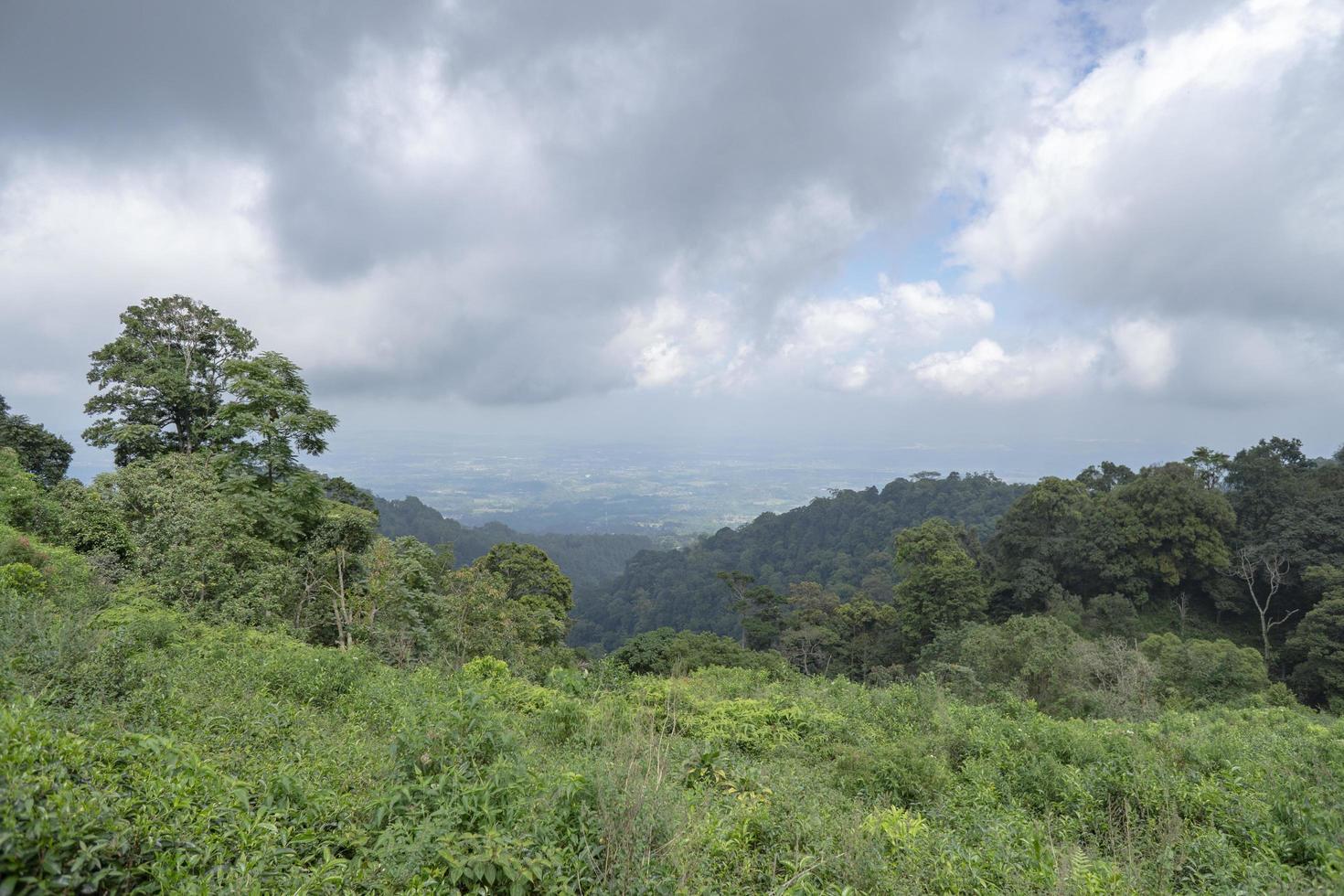 Landscape of green tea garden on the top mountain with cloudy anda blue sky. The photo is suitable to use for environment background, nature poster and nature content media.