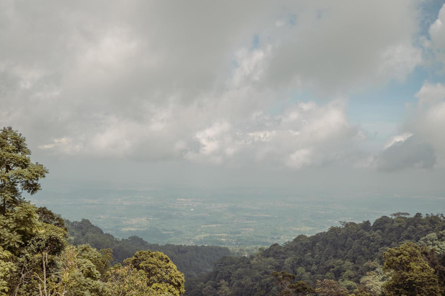 Landscape of green tea garden on the top mountain with cloudy anda blue sky. The photo is suitable to use for environment background, nature poster and nature content media.
