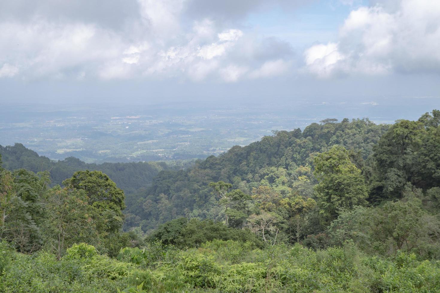 Landscape of green tea garden on the top mountain with cloudy anda blue sky. The photo is suitable to use for environment background, nature poster and nature content media.
