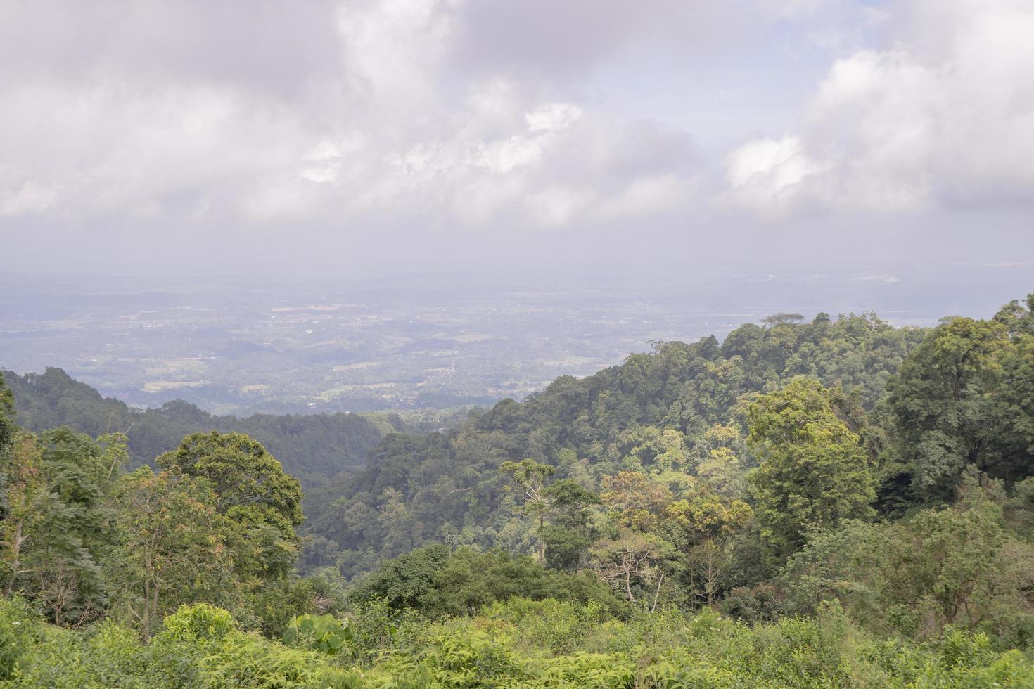 Landscape of green tea garden on the top mountain with cloudy anda blue sky. The photo is suitable to use for environment background, nature poster and nature content media.