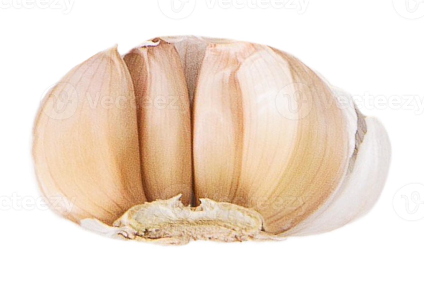 Vegetables garlic wedges isolated on a transparent background png