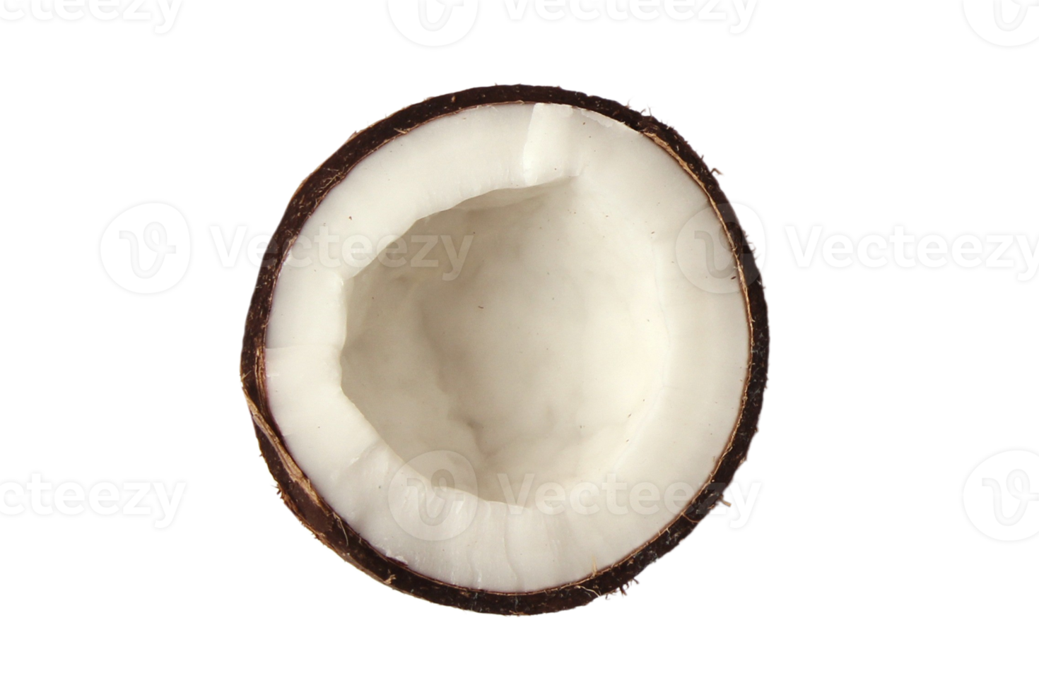 Half coconut isolated on a transparent background png