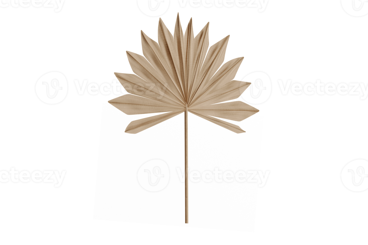 Beige decor leaf isolated on a transparent background png