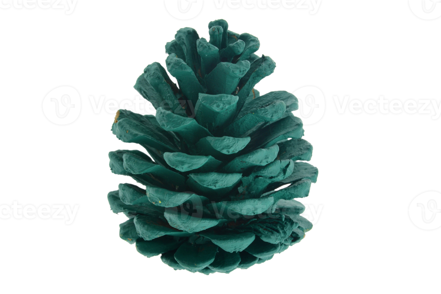 Green pine cone isolated on a transparent background png