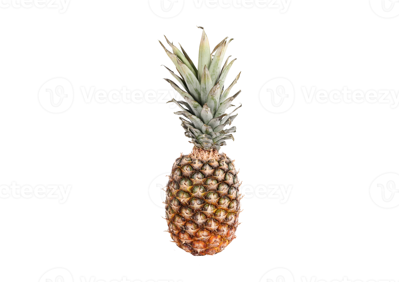 Pineapple fruit isolated on a transparent background png