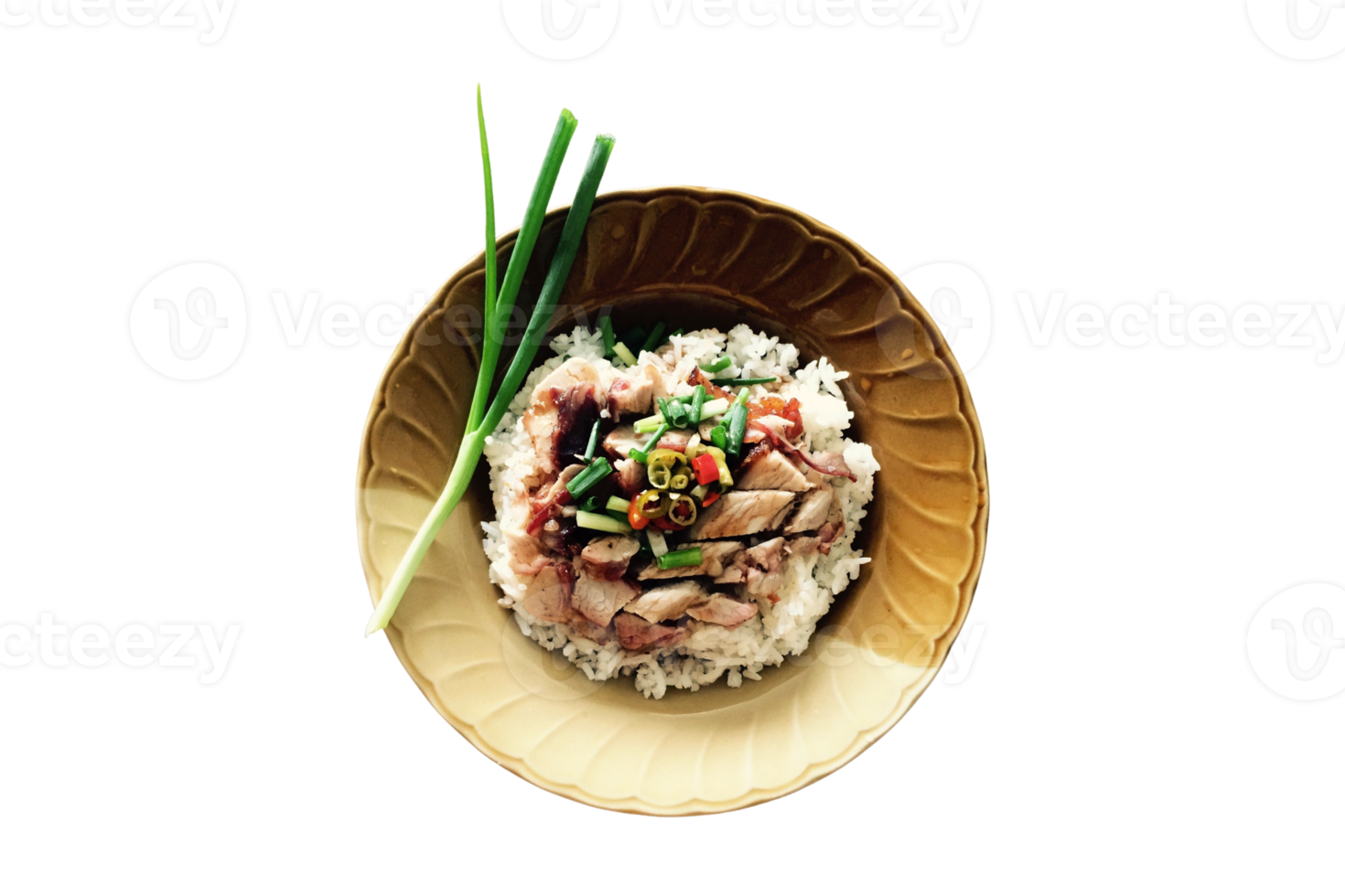 Duck rice with meat and vegetables isolated on a transparent background png