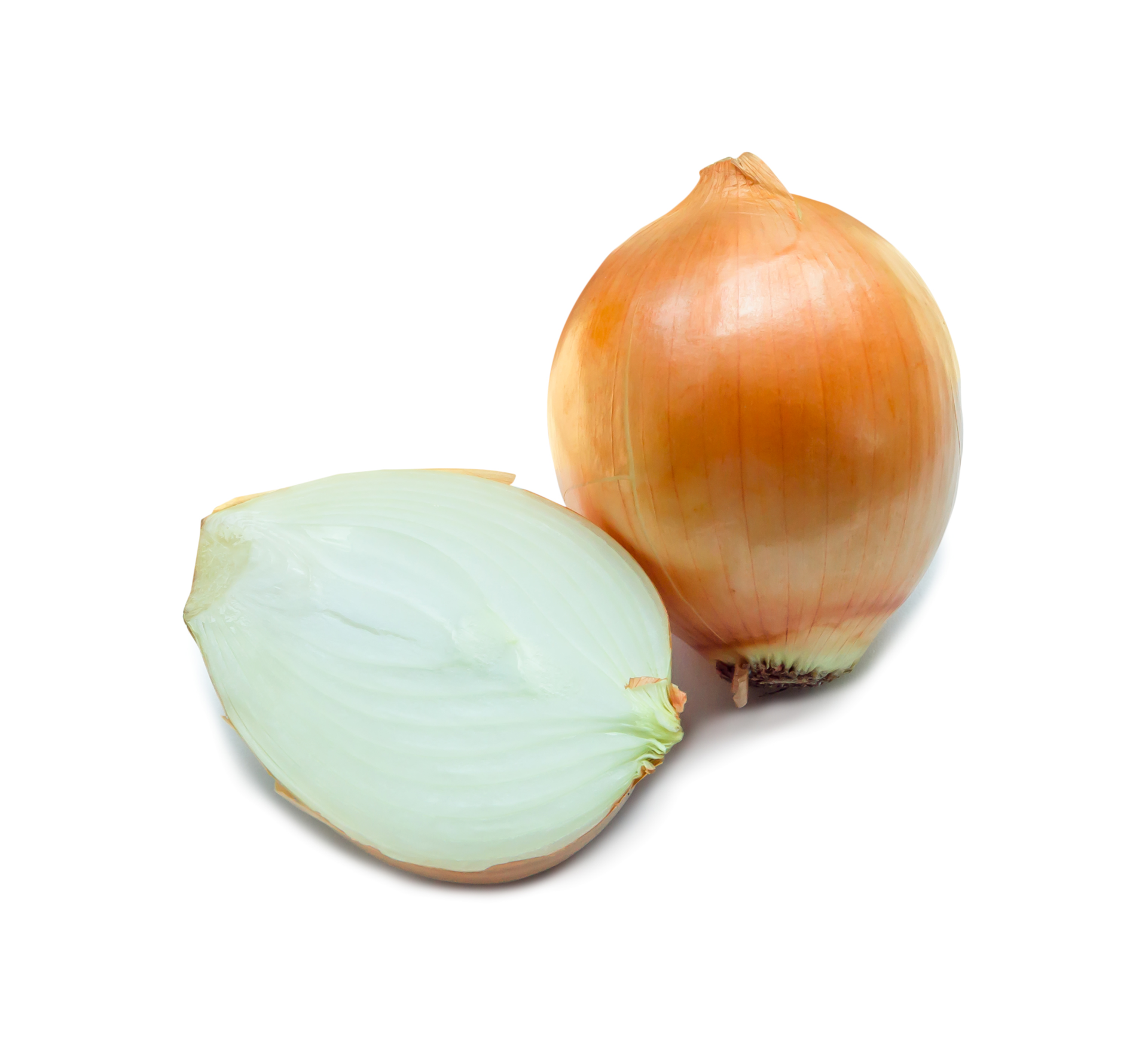 One fresh golden onion bulb with half or slice isolated with clipping