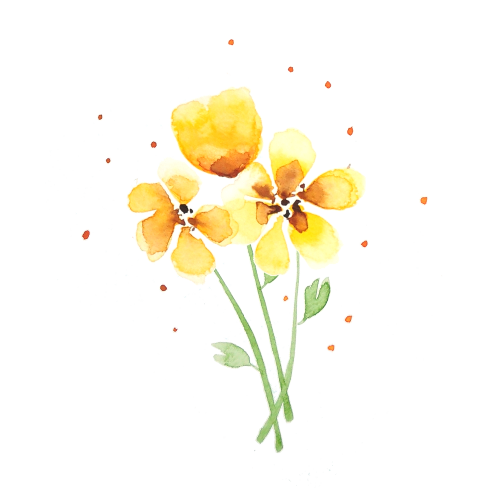 Jaune fleurs aquarelle png