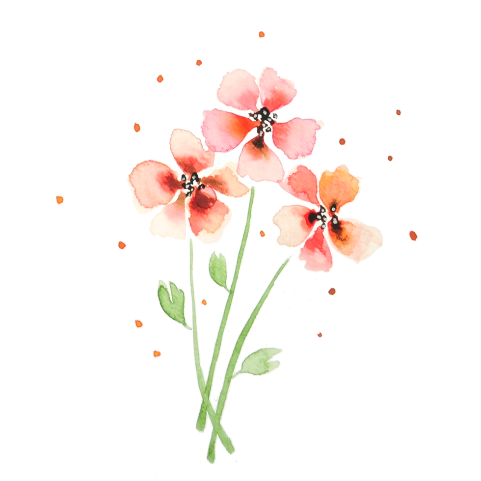 aquarela de flores vermelhas png