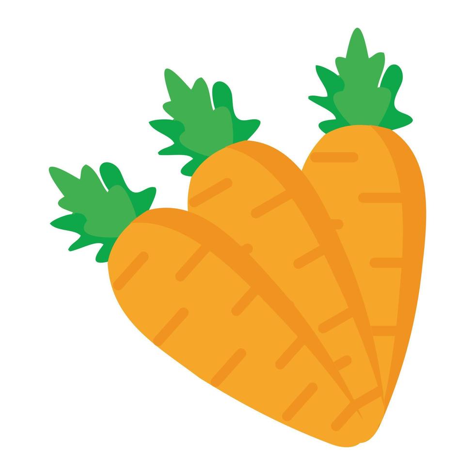 Carrot flat icon isolated on white background. Vegetable vector illustration. Fresh carrots are bright orange in color, suitable for designing vegetable introductions to children
