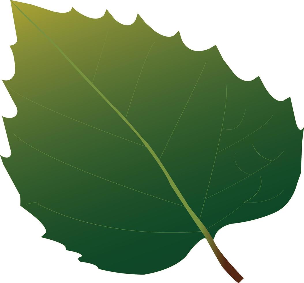 free green leaves with sharp edges vector