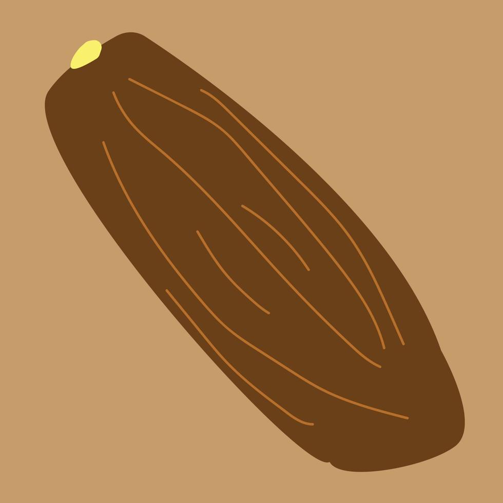 A date fruit, palm tree fruits, brown fruit, brown and dark brown and orange and yellow colors, desert fruit, fruit illustration vector, minimalist style drawing, Islamic dessert vector