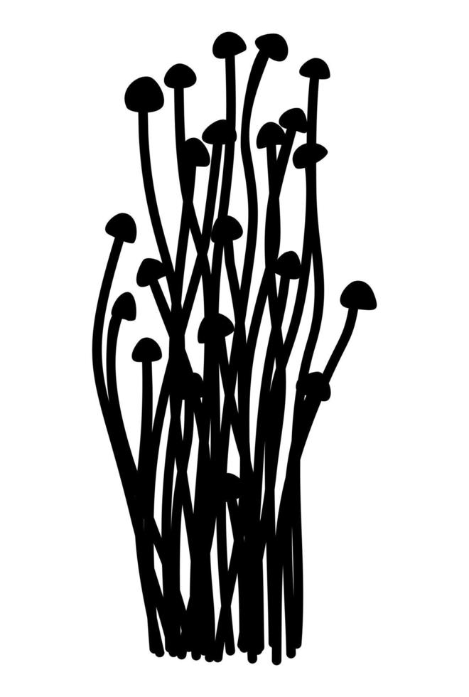 Vector isolated illustration of enoki mushrooms. Monochrome silhouette ...