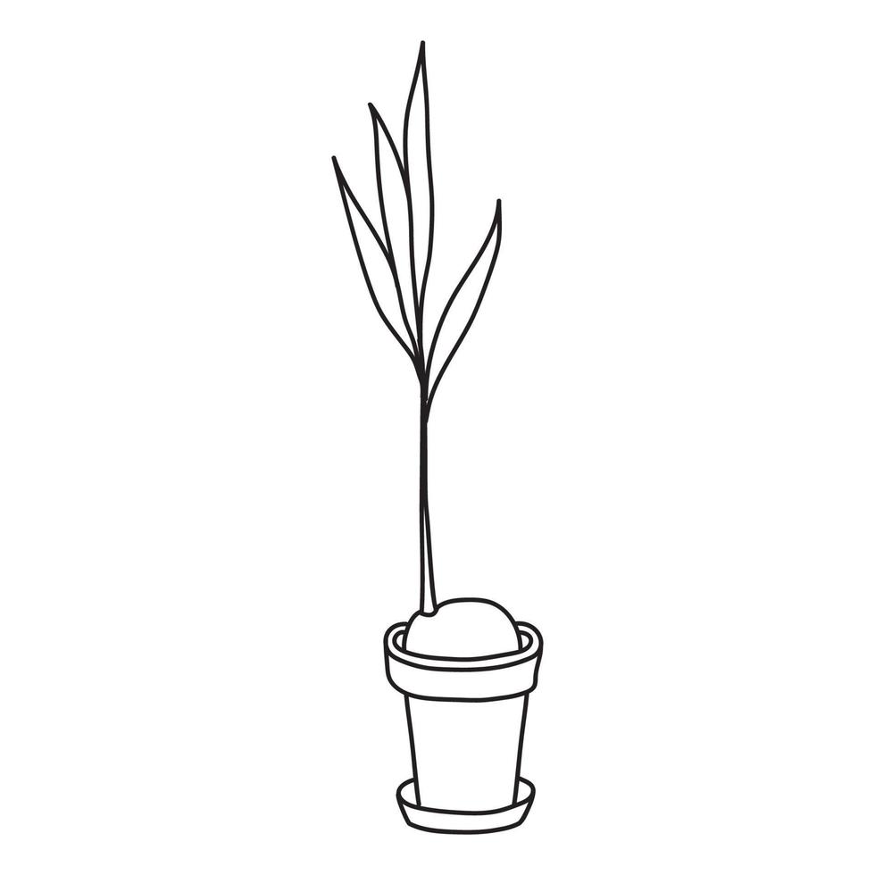 Vector stock illustration with single object, home plant, hand drawn, doodle style.