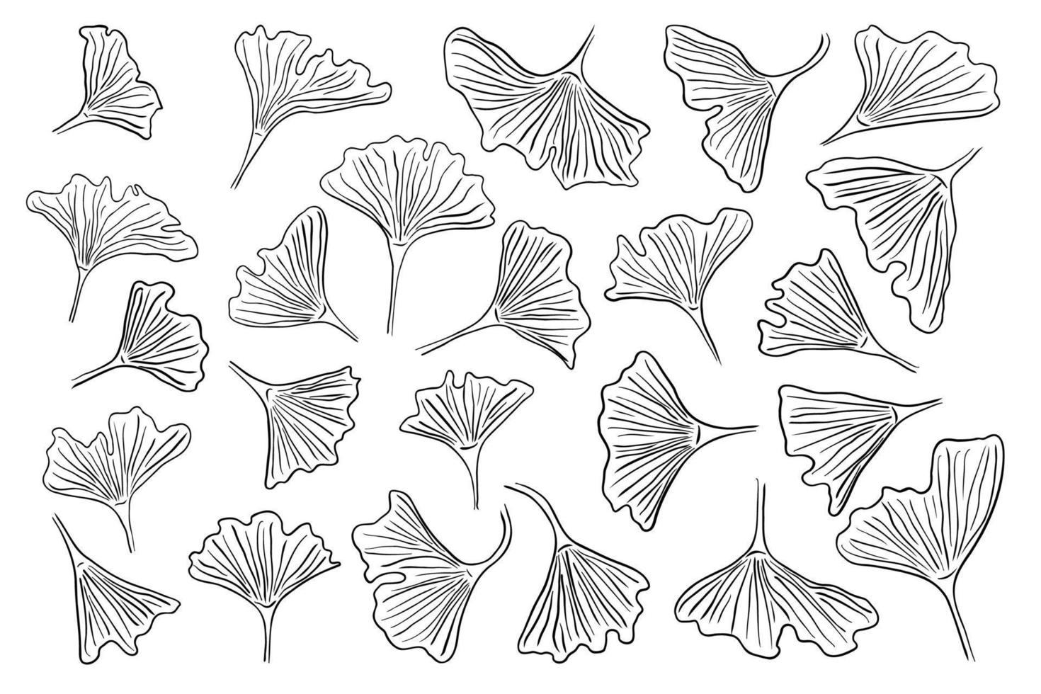 Ginkgo biloba hand drawn ink sketch set. Abstract jinkgo leaves. Botany vintage pen style collection for decor. Vector illustration.