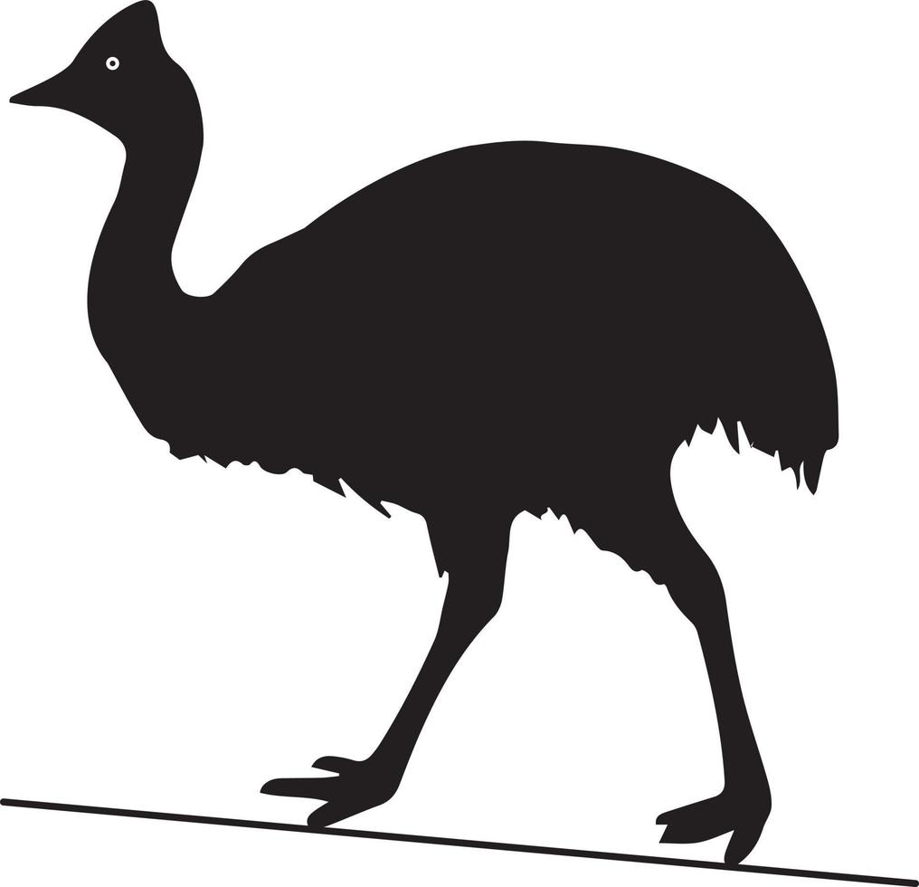 Silhouette cassowary bird vector illustration