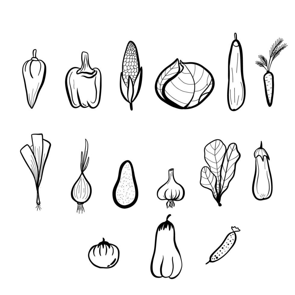 Vegetables linen art hand drawn set. High quality illustration vector