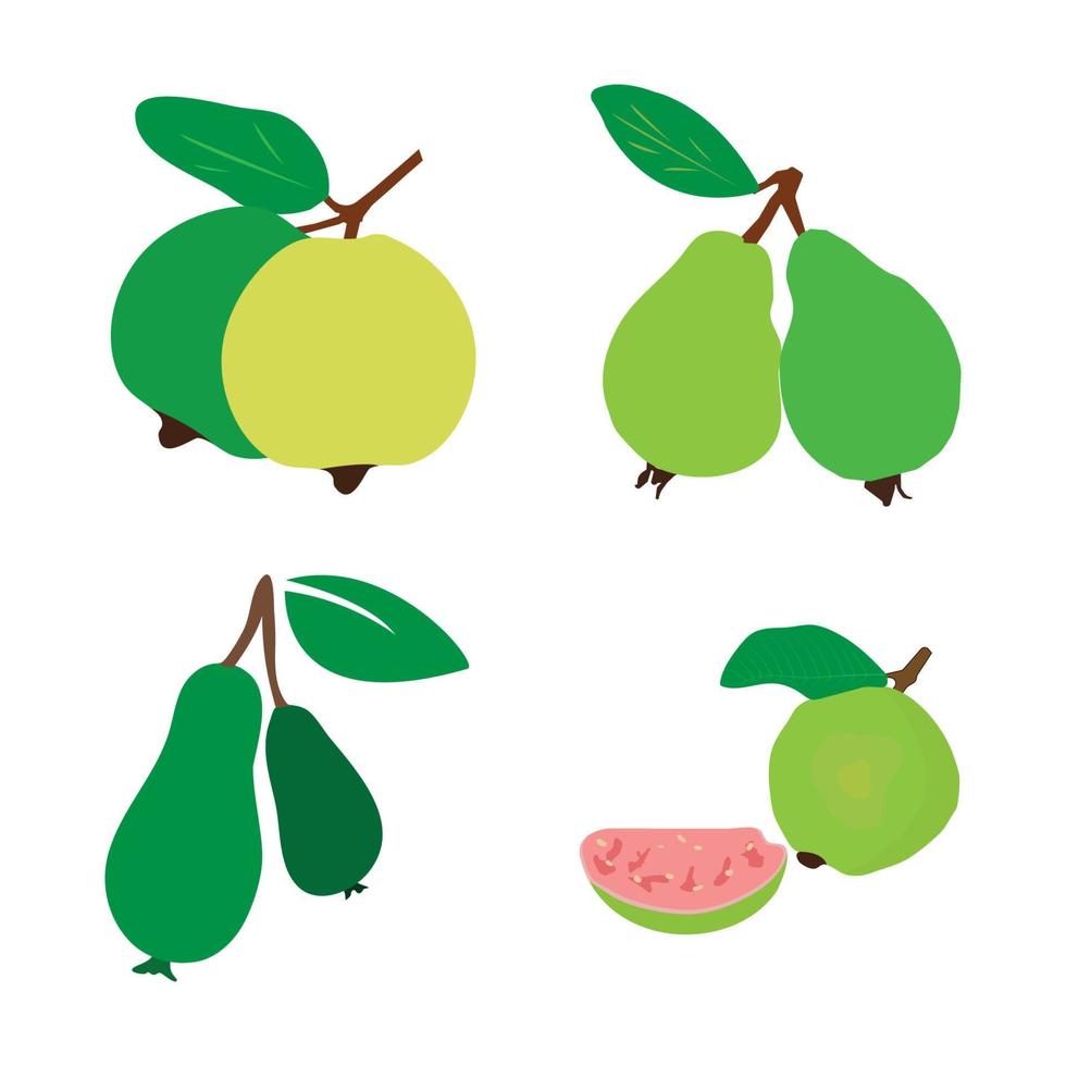 guayaba icono vektor vector