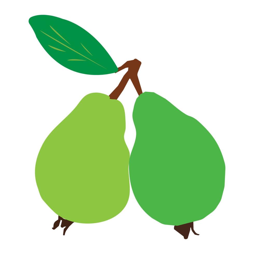 guava icon vektor vector