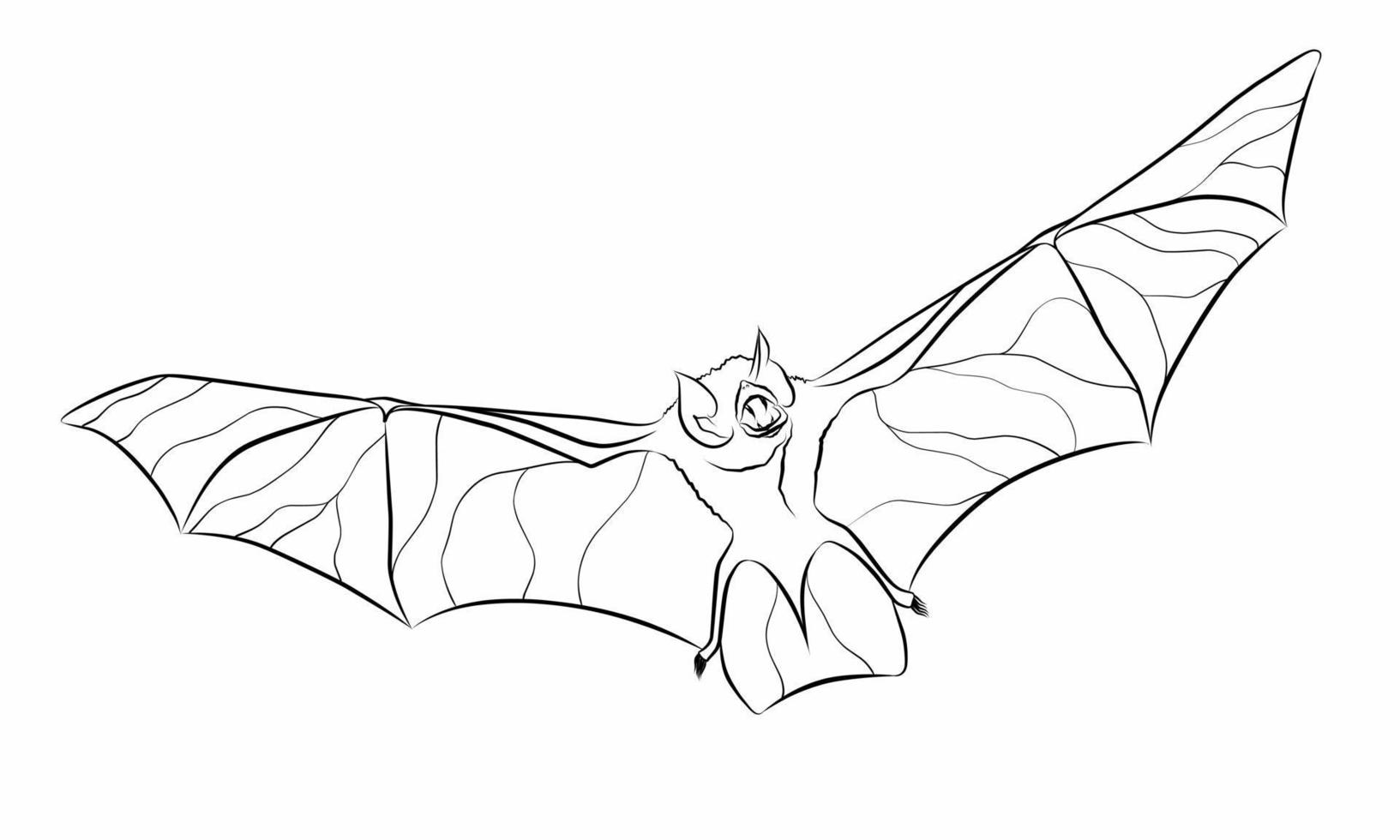 murciélago vampiro negro línea icono vector ilustración en un círculo, para web utilizar para volador, animal, oscuro, Víspera de Todos los Santos