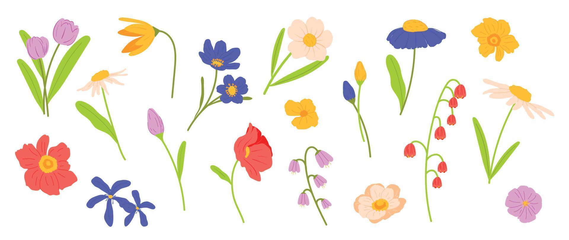 Set of spring colorful flowers. Set of floral branch, flower, plant, leaf, foliage, petals. Isolated on white for greeting cards, Easter, thanksgiving. Spring set, hand drawn elements, wedding. vector