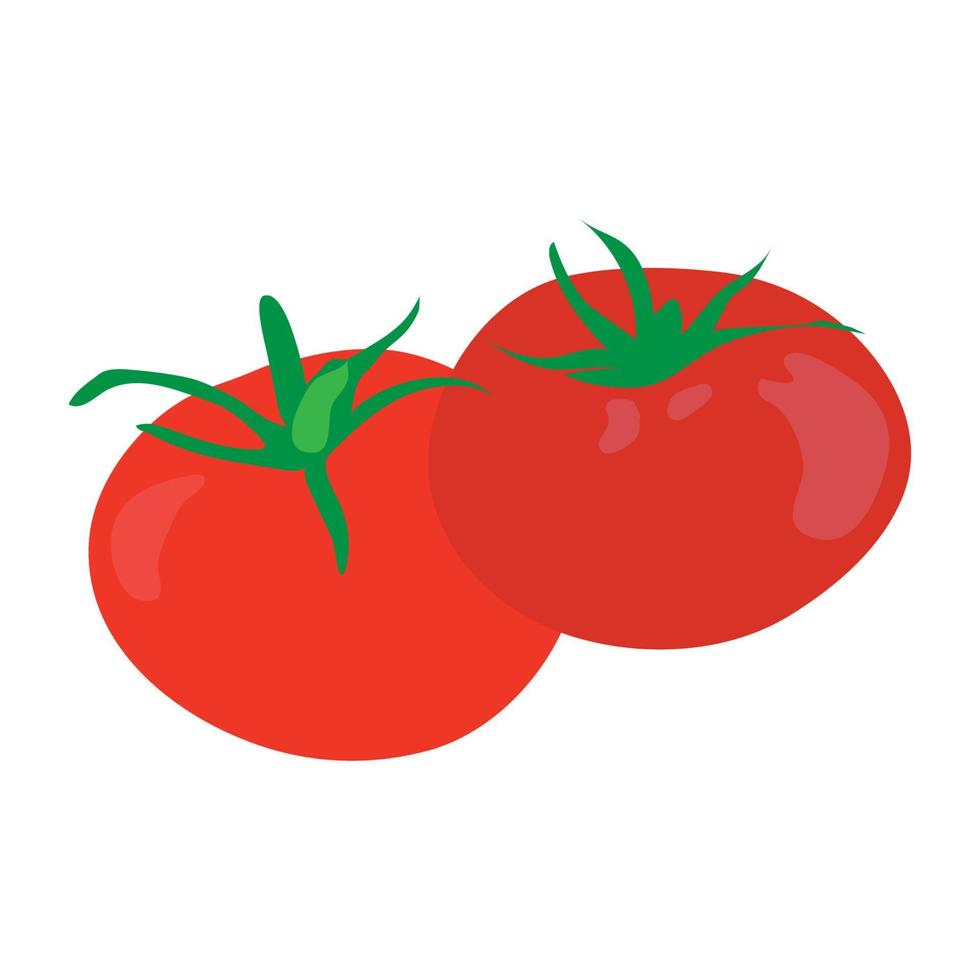 tomato fruit icon vector