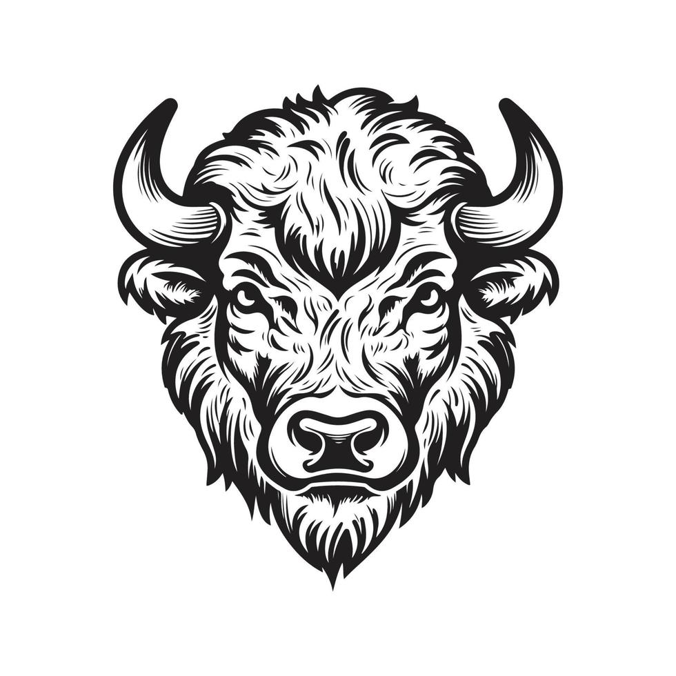 bison head, vector concept digital art, hand drawn illustration