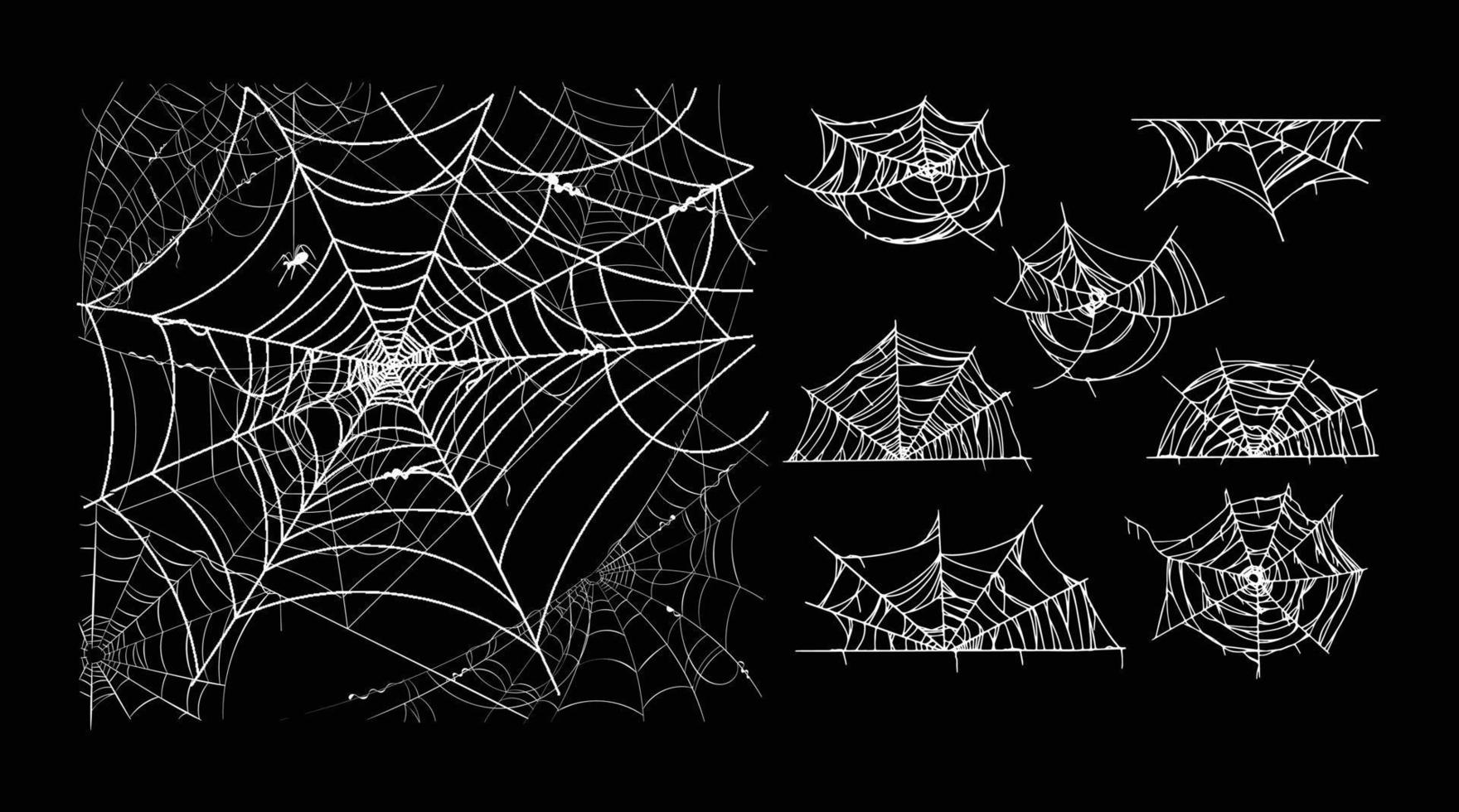 un conjunto de ilustrado araña webs aislado en negro antecedentes vector