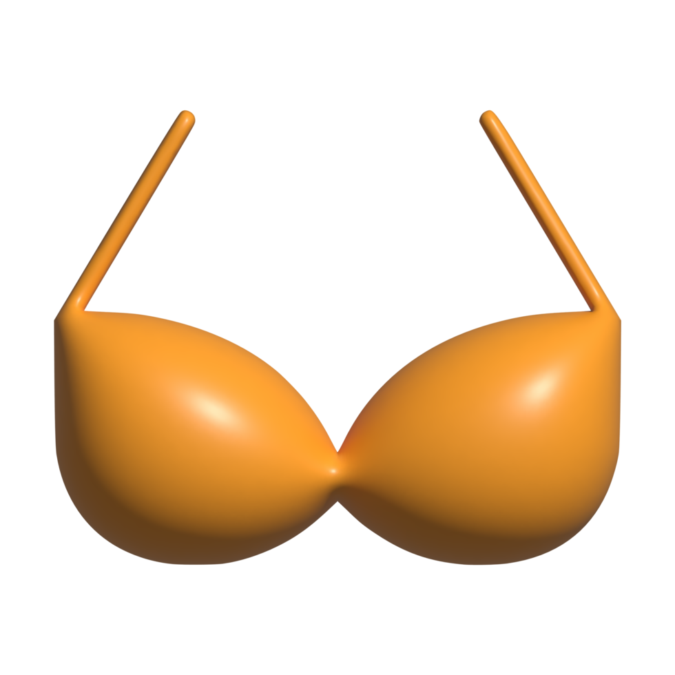 3d icon of bra png