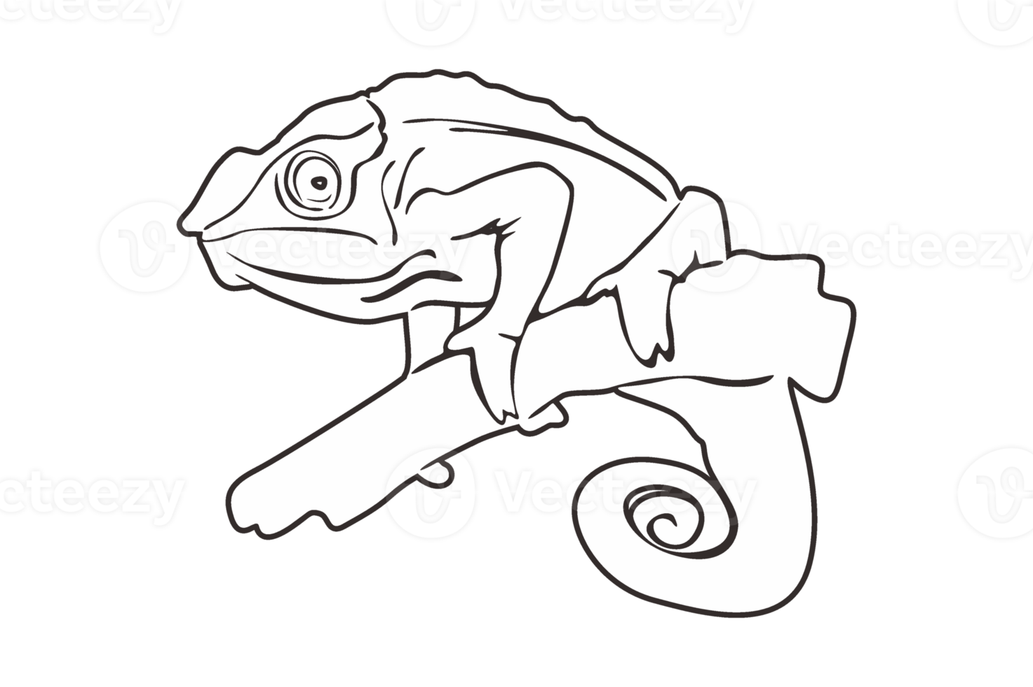 Reptile Animal - Chameleon Line Art png