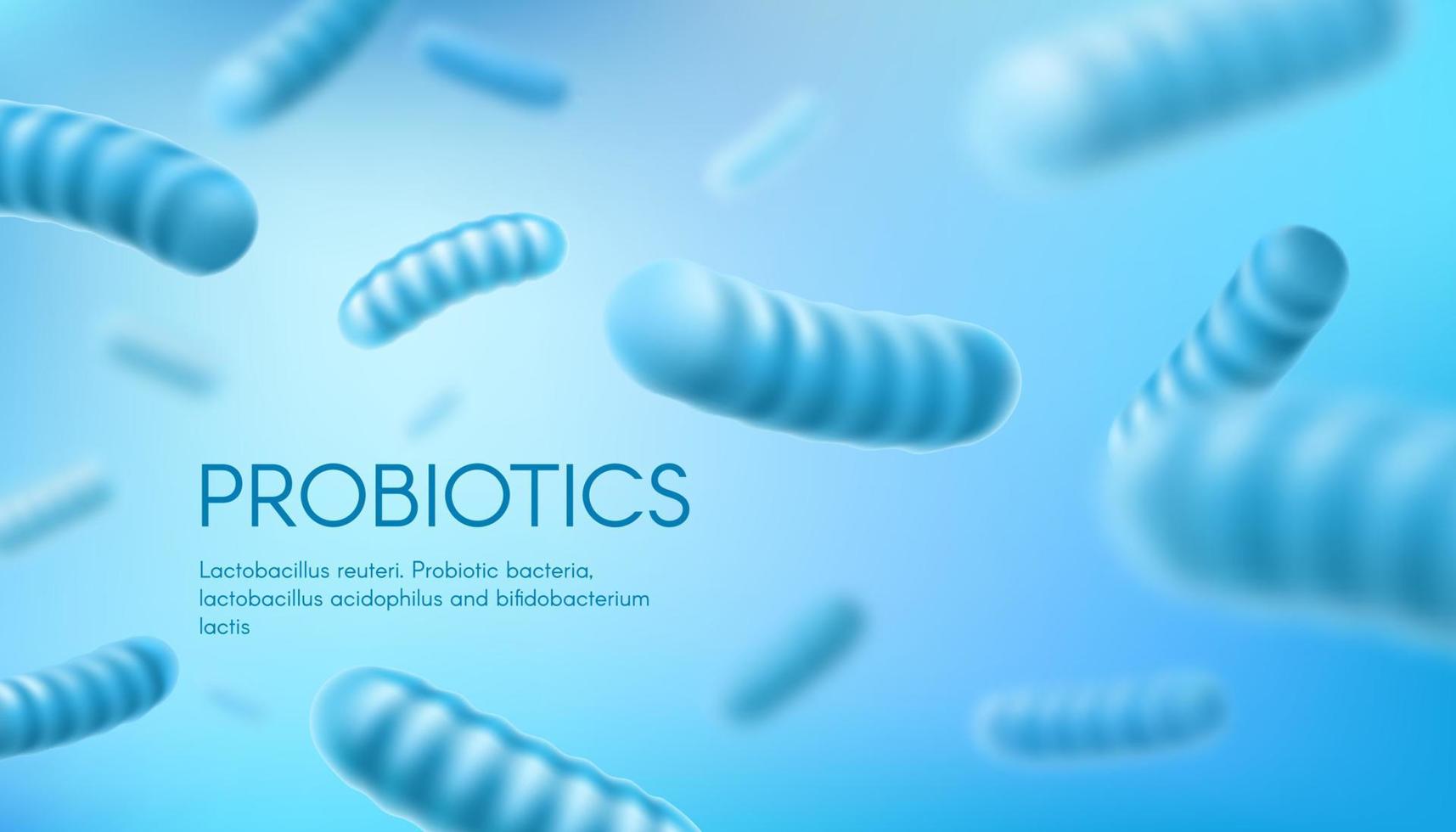 lactobacilo, bifidobacteria probiótico bacterias vector