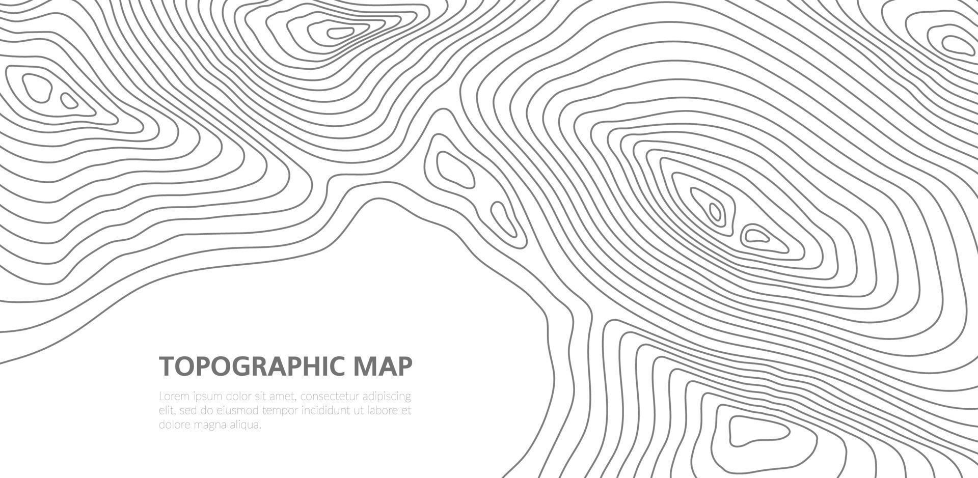 topográfico mapa red, textura o alivio contorno vector