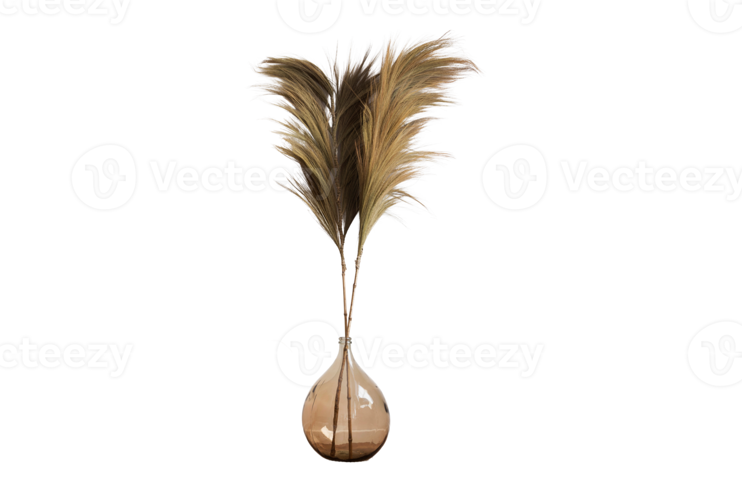 Brown glass vase and pampas grass isolated on a transparent background png