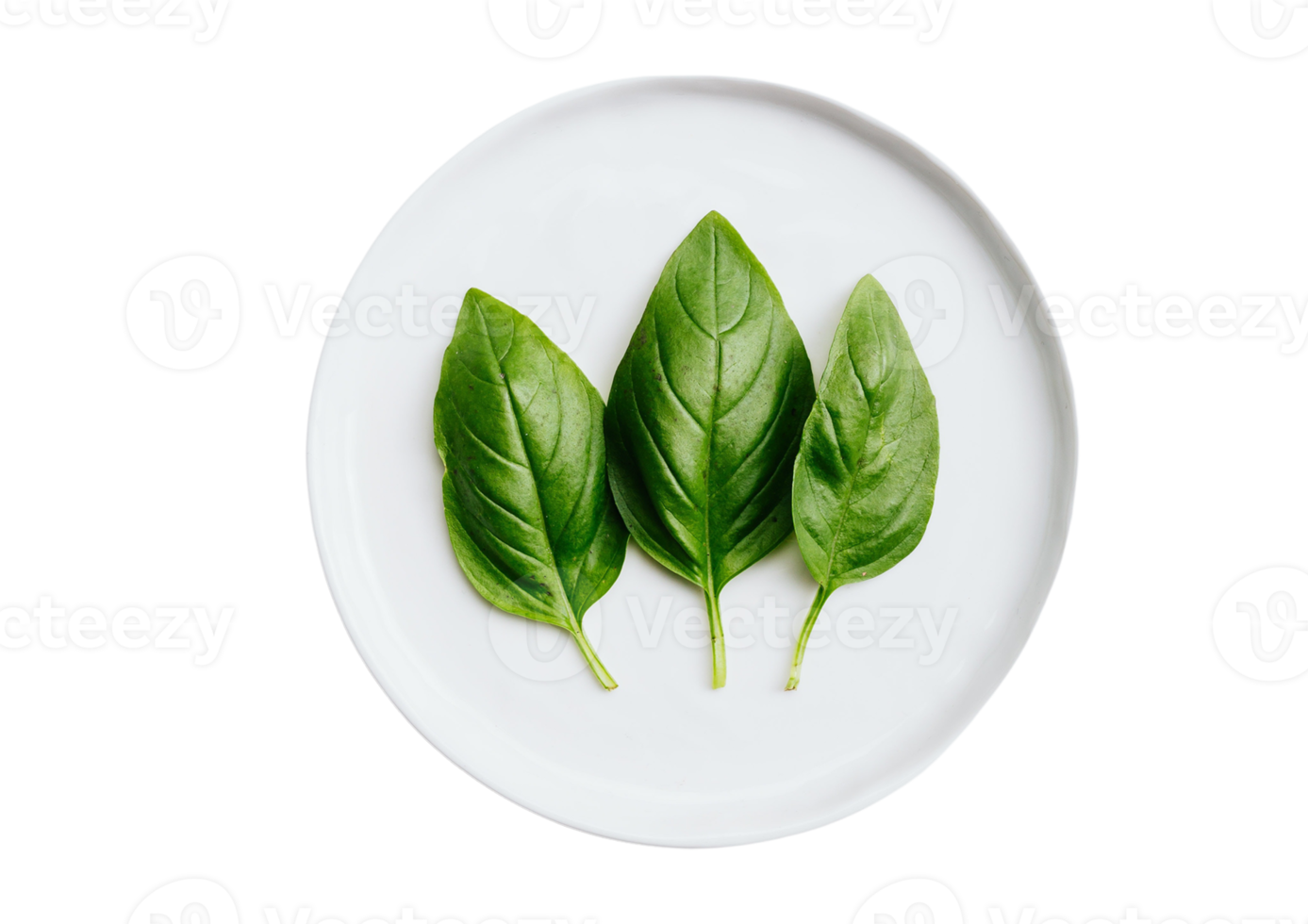 White plate with basil isolated on a transparent background png