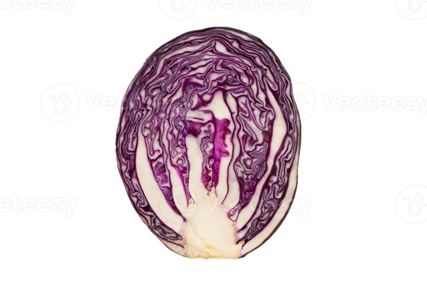 Vegetables purple cabbage isolated on a transparent background png