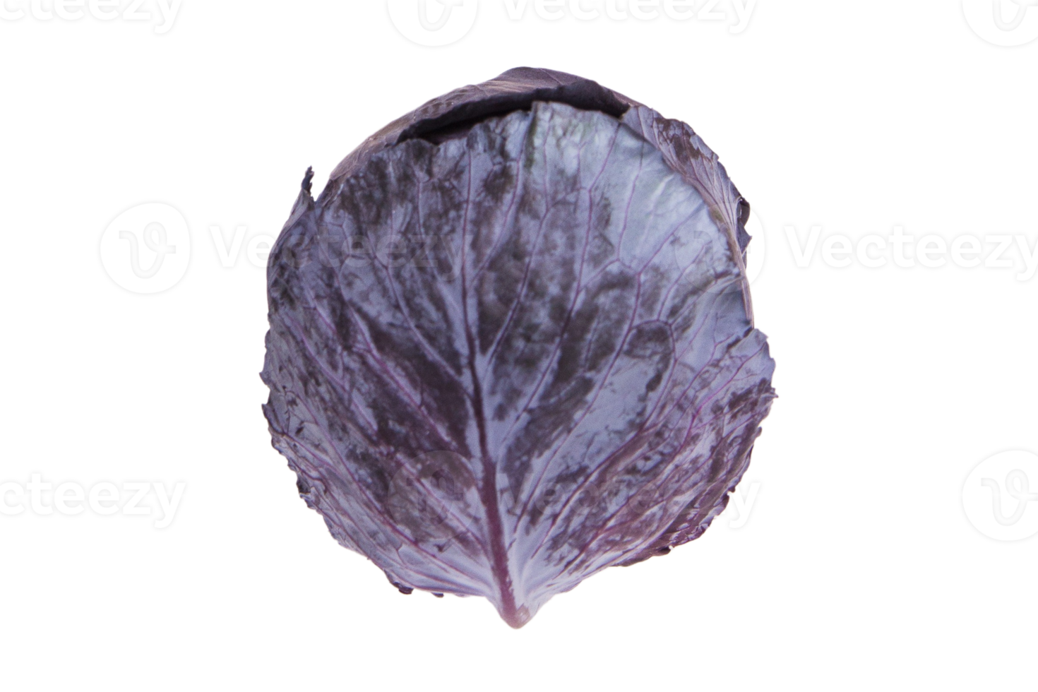 Vegetables purple cabbage isolated on a transparent background png