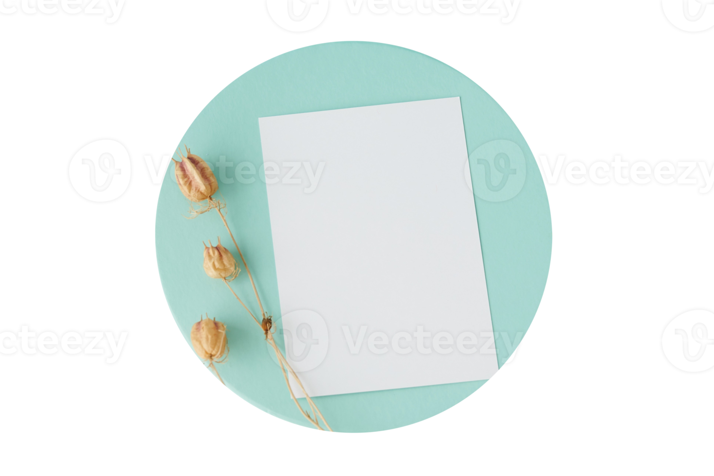 Blue plate with white paper and dried flowers isolated on a transparent background png