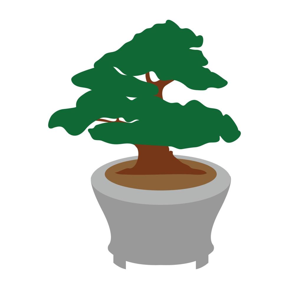 bonsai icon vektor vector