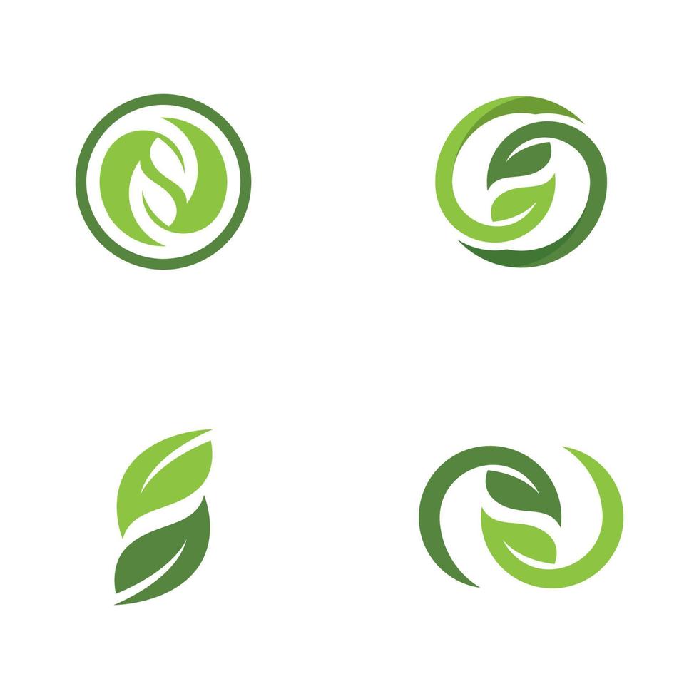 logotipos de la ecología de la hoja del árbol verde vector