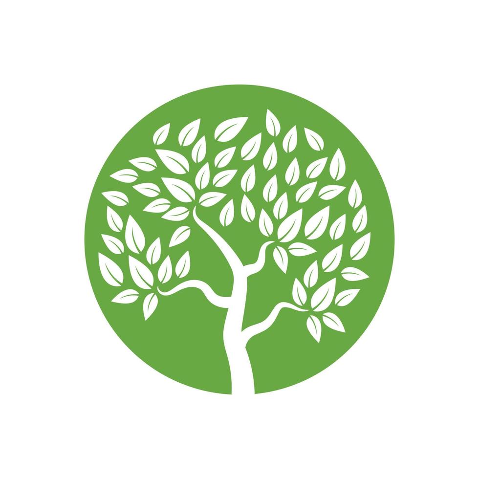 Logos of green Tree leaf ecology vector