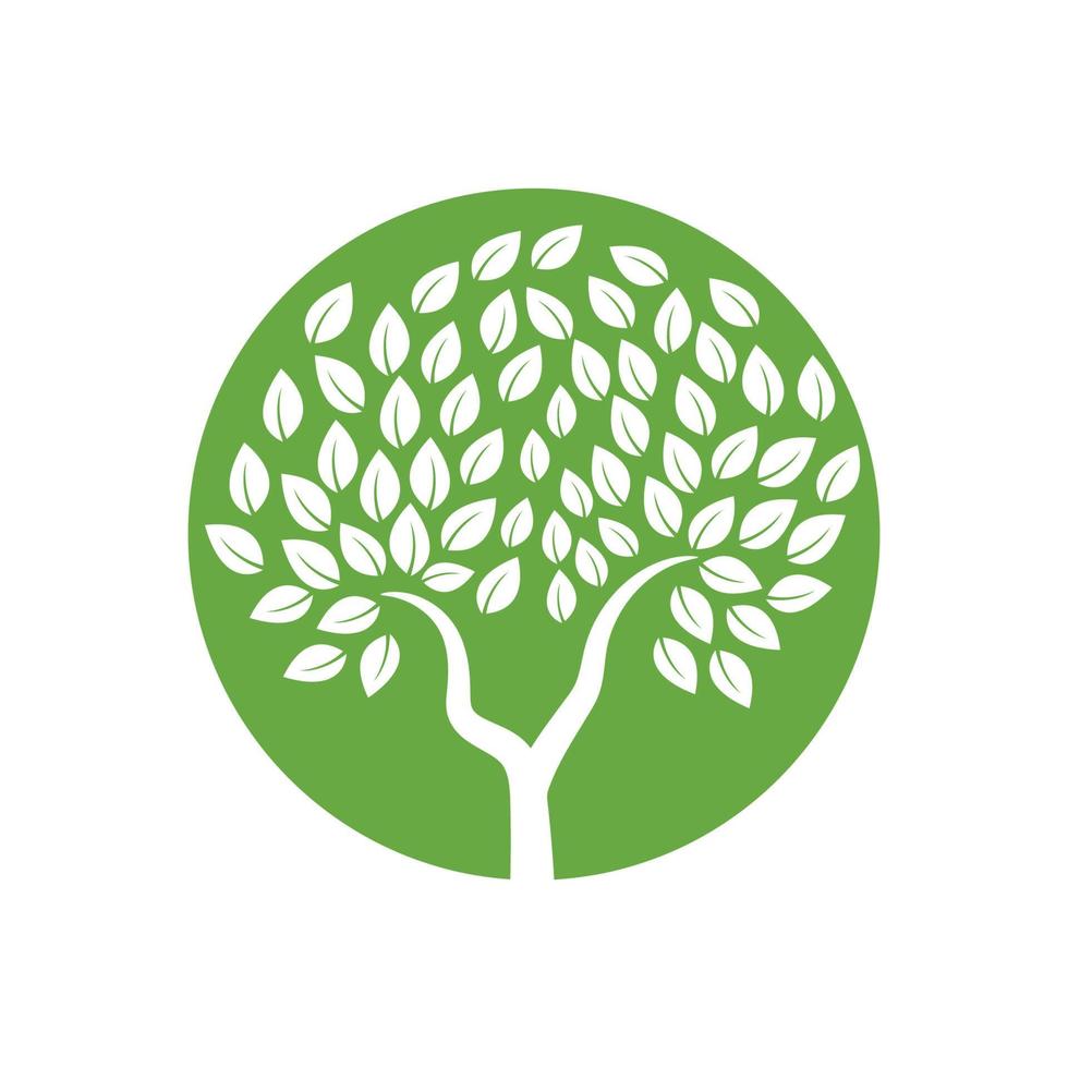 logotipos de la ecología de la hoja del árbol verde vector