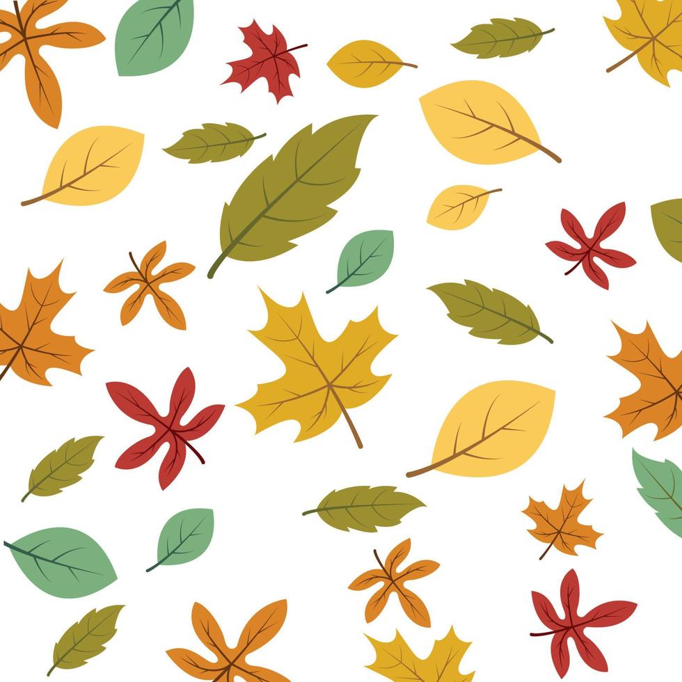 autumn background vector template