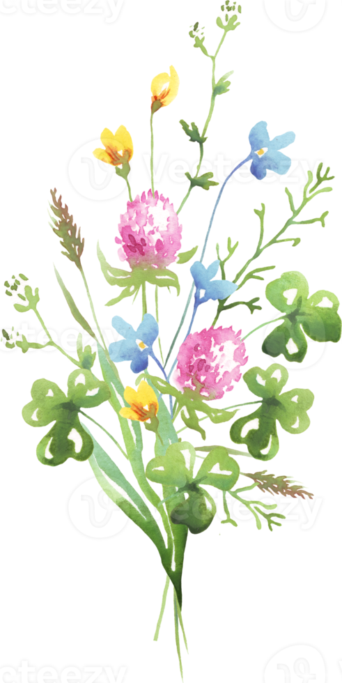 Wildflowers bouquet. Watercolor clipart png