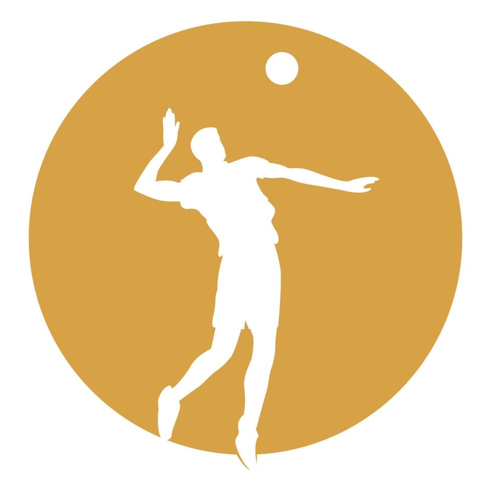 volleyball icon vektor vector