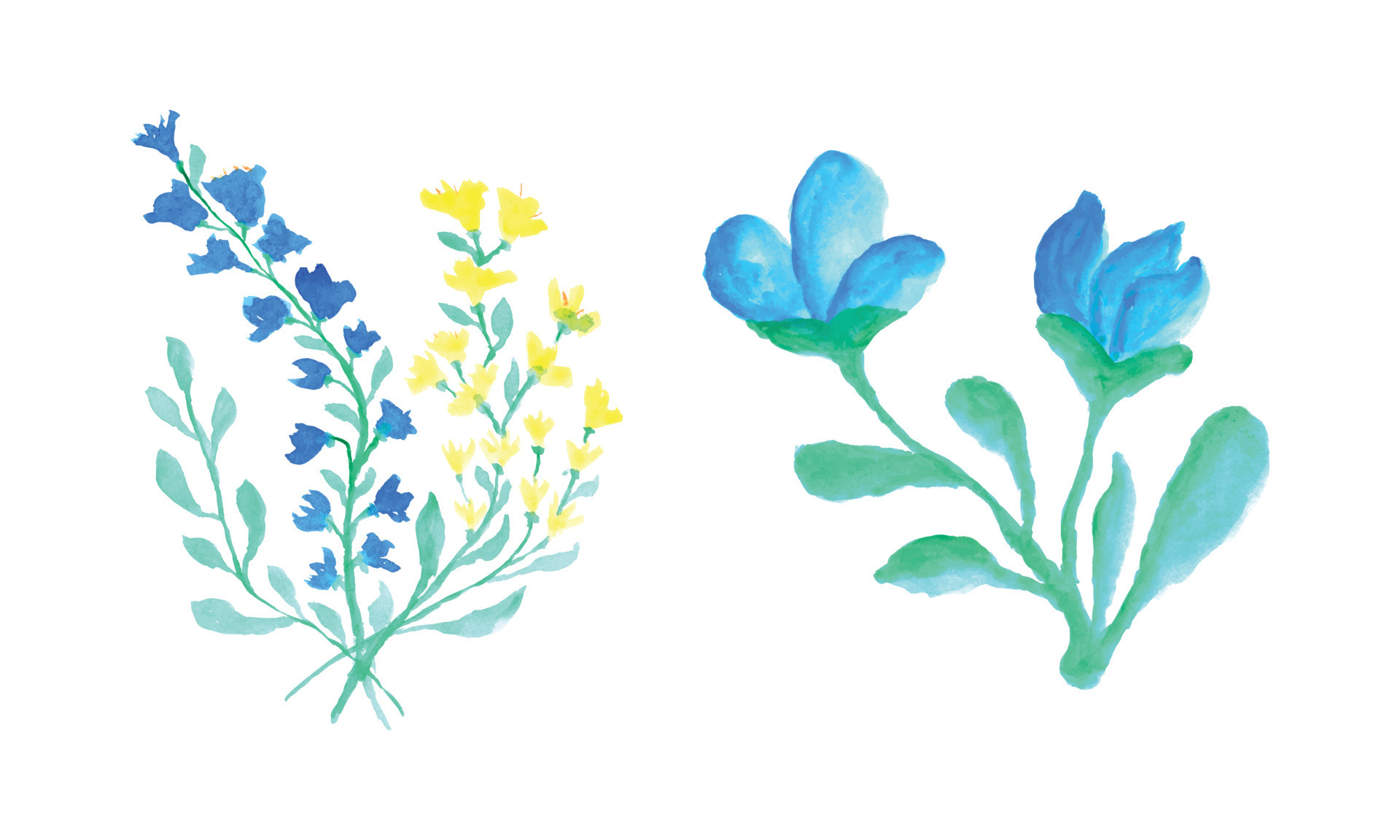 A set of blue and yellow flowers on a white background, Blue and yellow